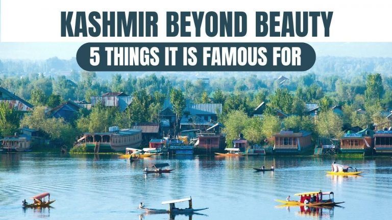 Top 5 Things Kashmir Is Famous For Part From Its Enchanting Beauty - Watch Video